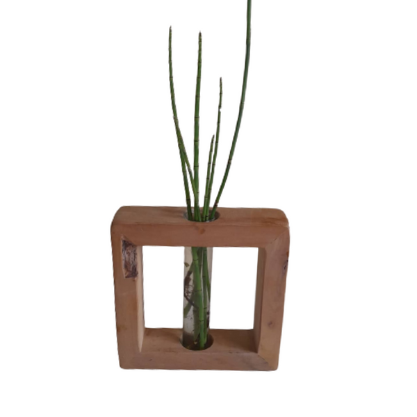 Driftwood Flower Pot