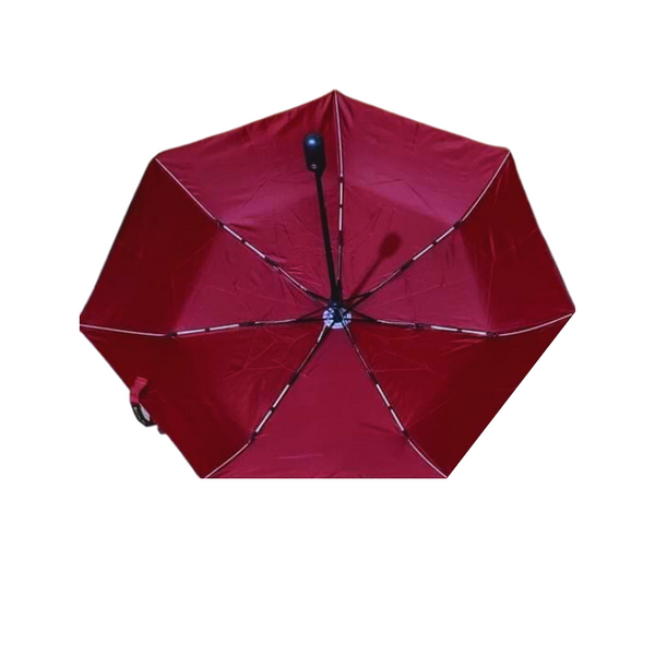 Automatic Umbrella