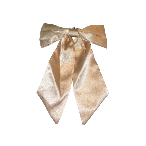 Clip Ribbon - Silver