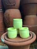 Mini Clay Pot - Green