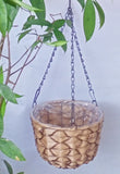 Hanging pot plants