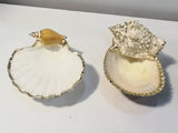 Shell Home Decor