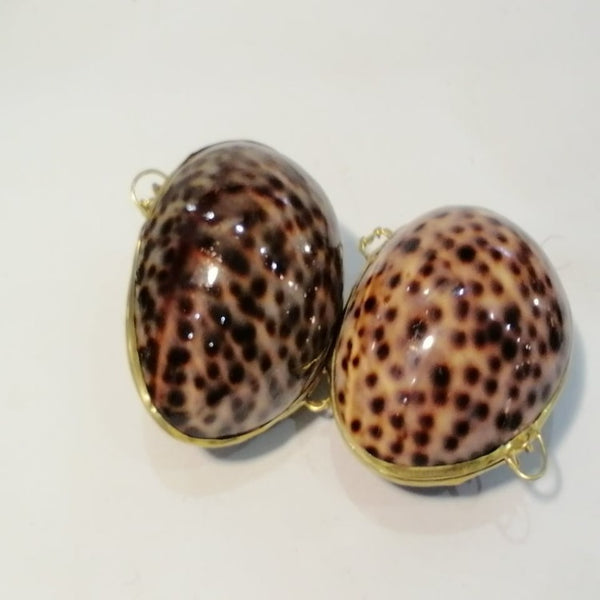 Tiger cowry fill box