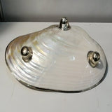 Jewelry Holder - with Shell Design