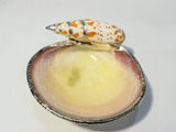 Shell Home Decor