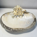 Jewelry Holder - with Shell Design