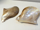 Shell polish