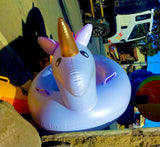 Unicorn Floater Swim Ride