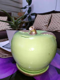 Apple Money Bank