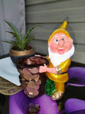 Lucky Dwarf with Coin Jar - Yellow