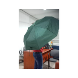 Automatic Umbrella