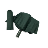 Automatic Umbrella