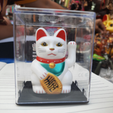 Solar Lucky White Cat Medium