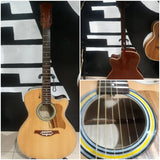 Acoustic Taylor Cut 2