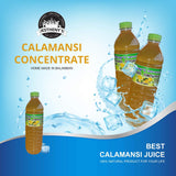 Calamansi Concentrate