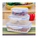 3 in 1 Food Container