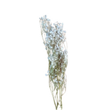 Gypso Dried Flowers