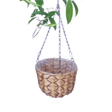 Hanging pot plants