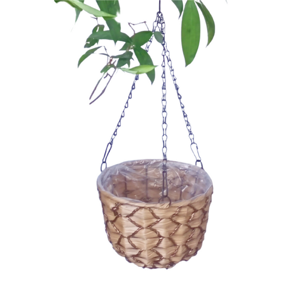 Hanging pot plants