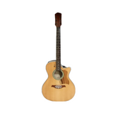 Acoustic Taylor Cut 2