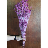 Dried Flower Bouquet