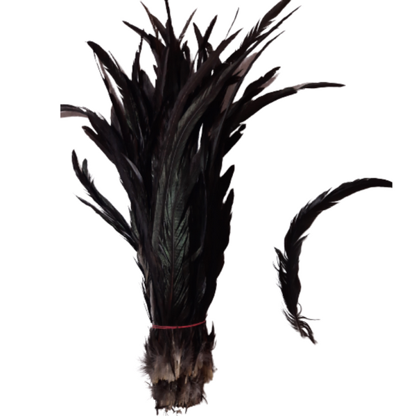 Black feather  bundle